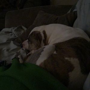 Meet your Posher, Nichol